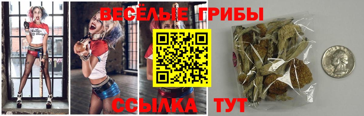 Баксан  Псилоцибиновые грибы GOLDEN TEACHER  Вход с VPN  Галлюциногенные грибы GOLDEN TEACHER 